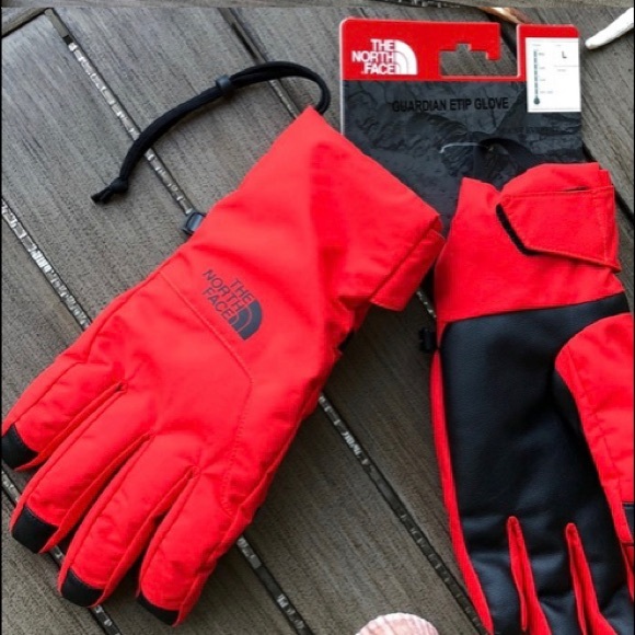 The North Face Other - Northface snow gloves